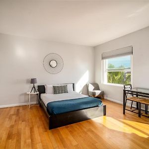 Studio Lit King-Size